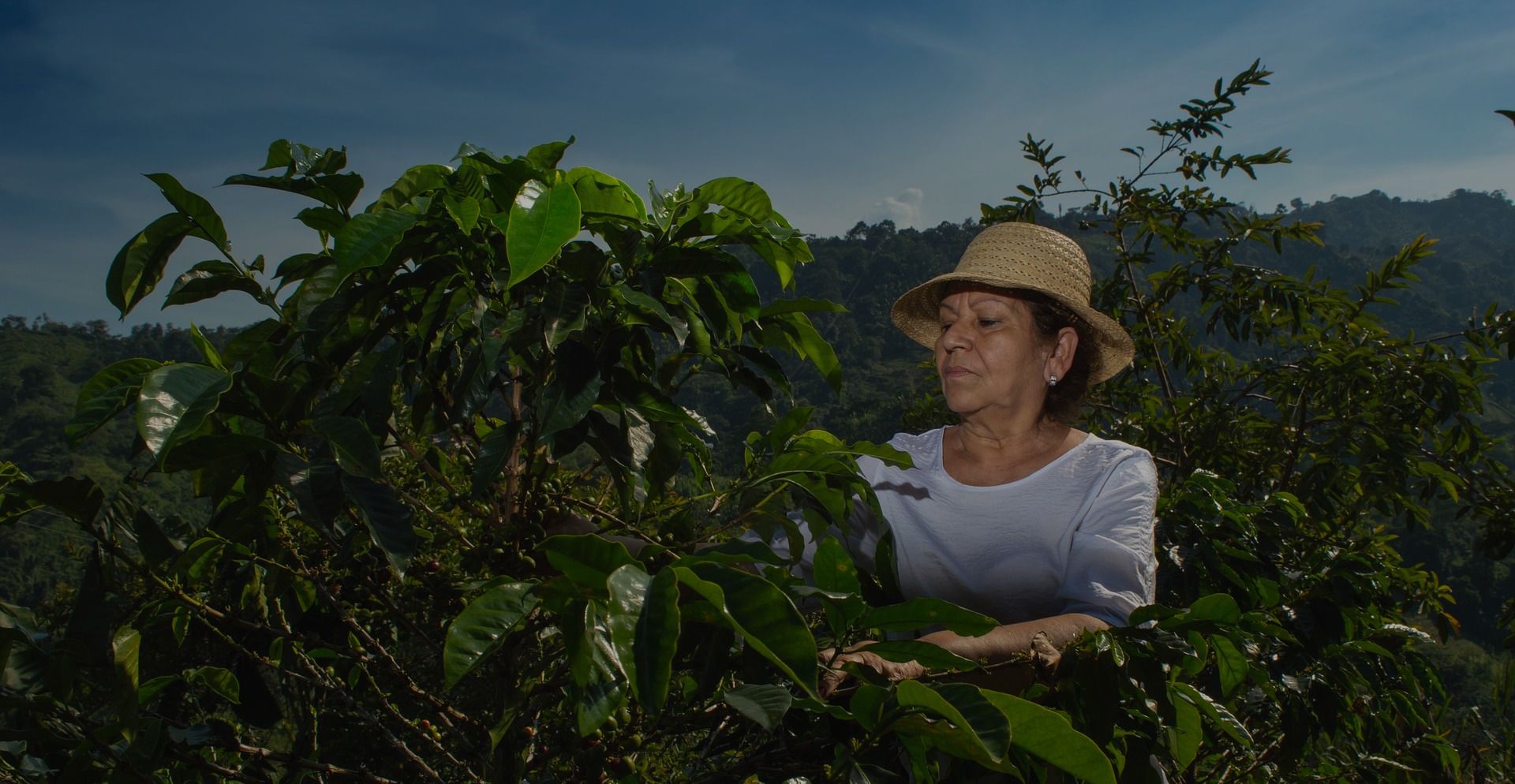 Agricultura